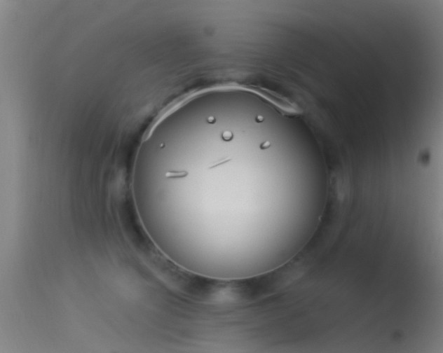 X0000114130564200910151548