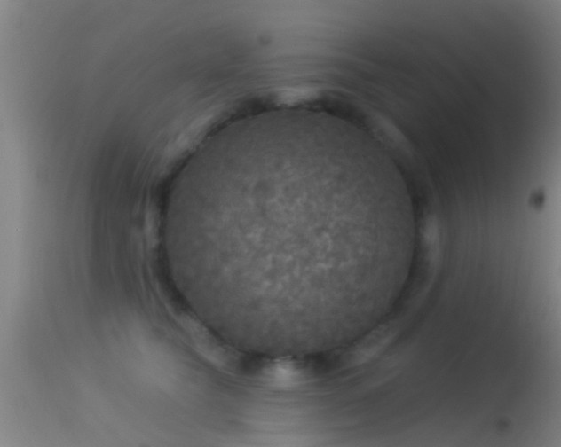 X0000114130565200910151548