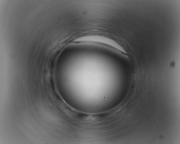 X0000114130566200910151548