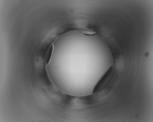 X0000114130568200910151548