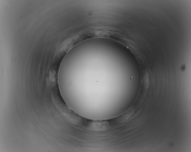 X0000114130571200910151548