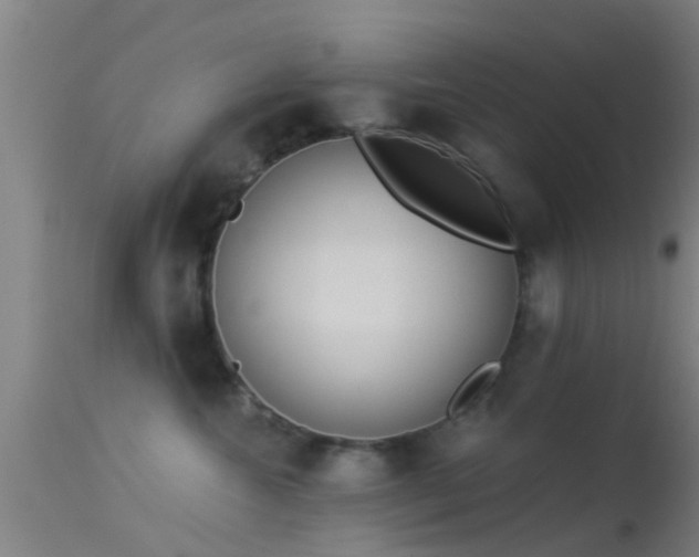 X0000114130572200910151548