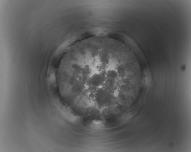 X0000114130573200910151548