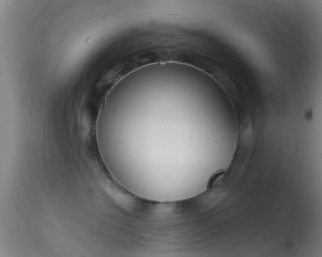 X0000114130574200910151548