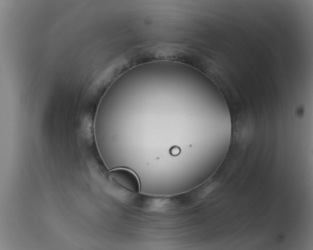 X0000114130575200910151548