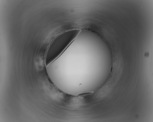 X0000114130576200910151548