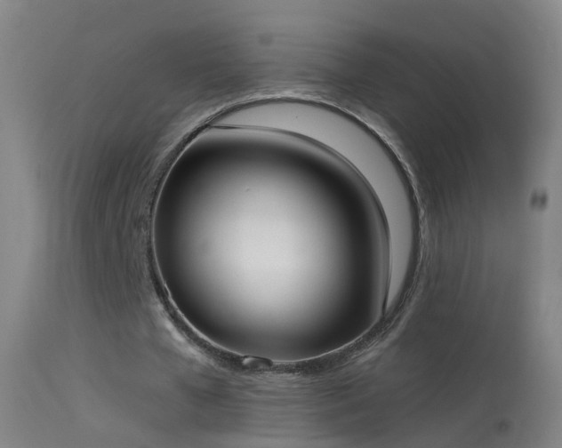 X0000114130577200910151547