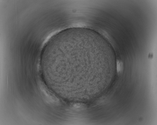 X0000114130579200910151547