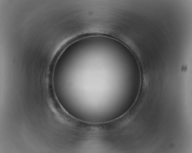 X0000114130580200910151547