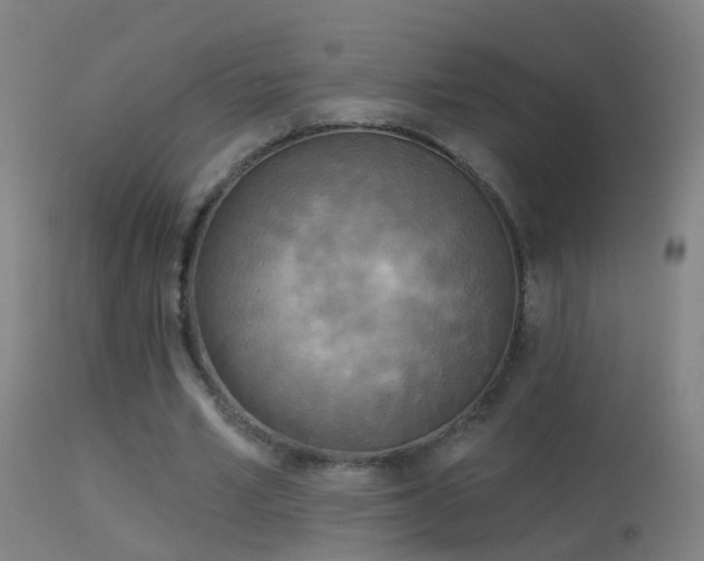 X0000114130581200910151547