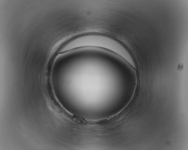 X0000114130583200910151547