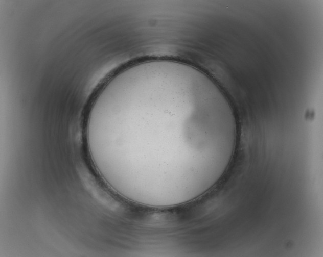 X0000114130584200910151547