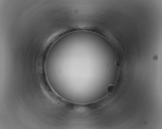 X0000114130587200910151547