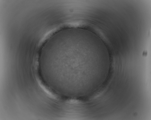 X0000114130590200910151547