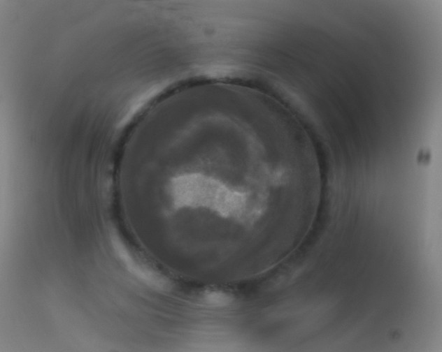 X0000114130592200910151547