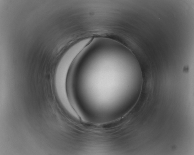 X0000114130595200910151547