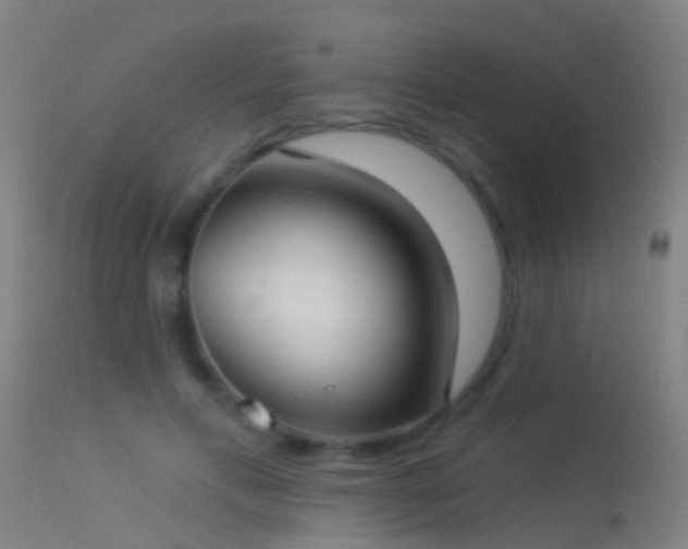 X0000114130597200910151547