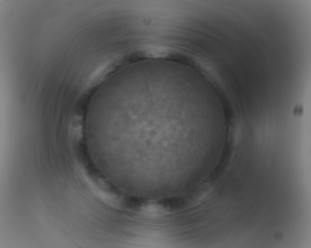 X0000114130598200910151547