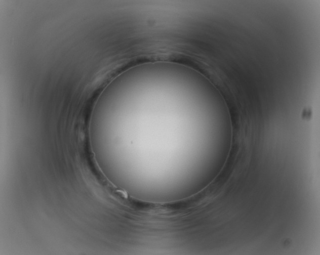 X0000114130599200910151547