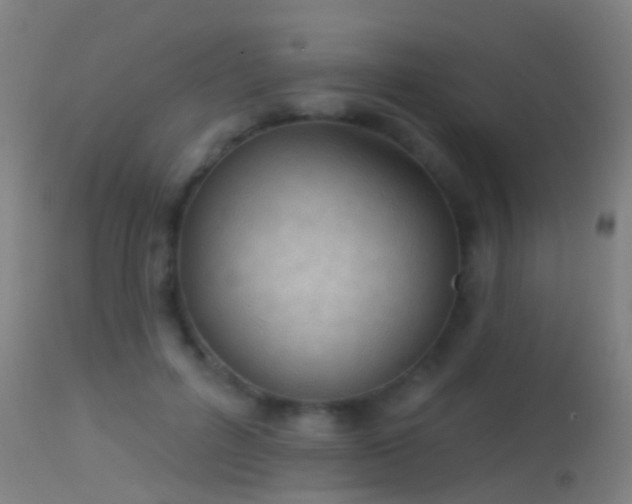 X0000114130600200910151547