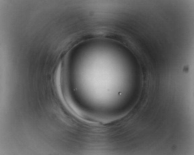 X0000114130601200910151547