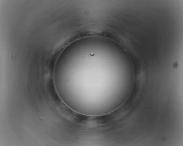 X0000114130608200910151547