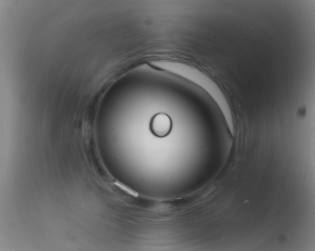 X0000114130609200910151547