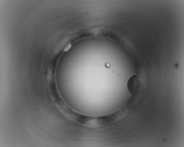 X0000114130611200910151547