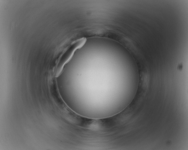 X0000114130612200910151547