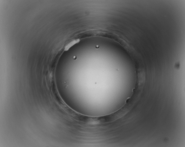 X0000114130613200910151547