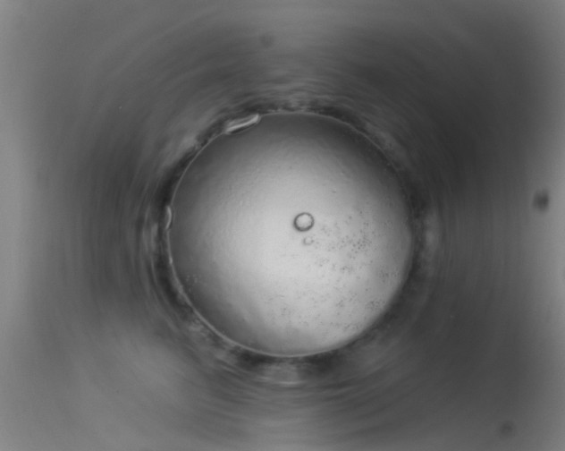 X0000114130615200910151547