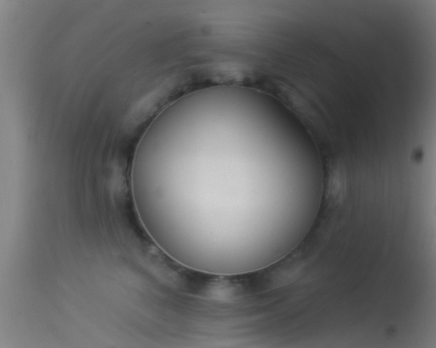 X0000114130616200910151547