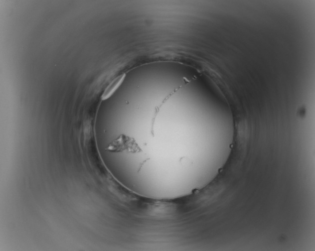 X0000114130617200910151547