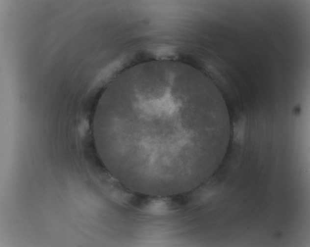 X0000114130618200910151547