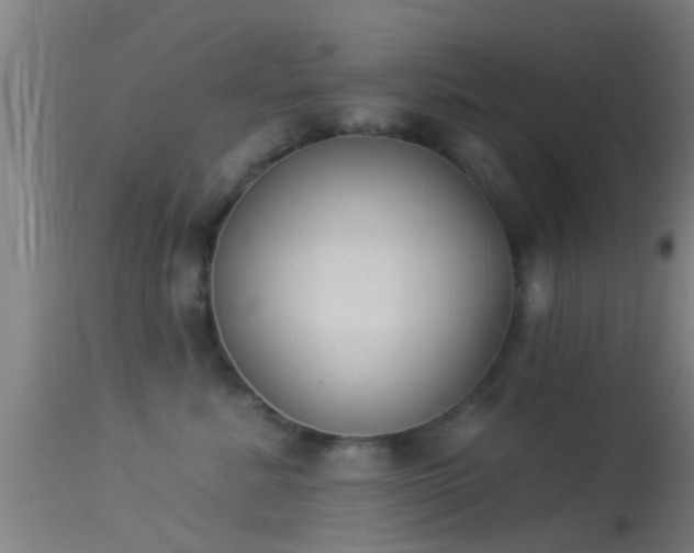 X0000114130619200910151547