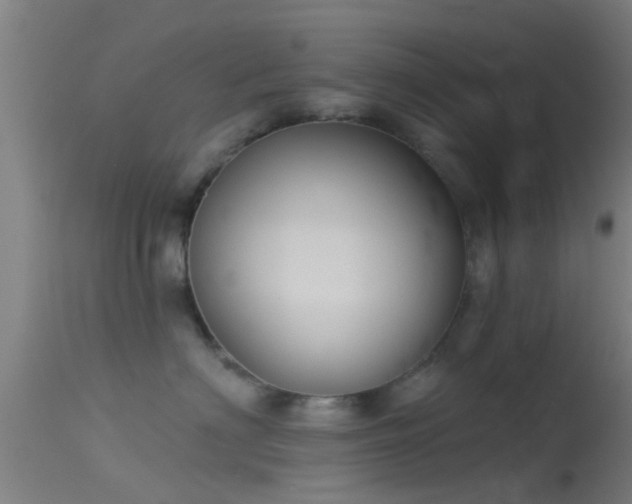 X0000114130622200910151547