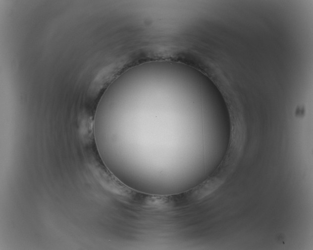 X0000114130624200910151547