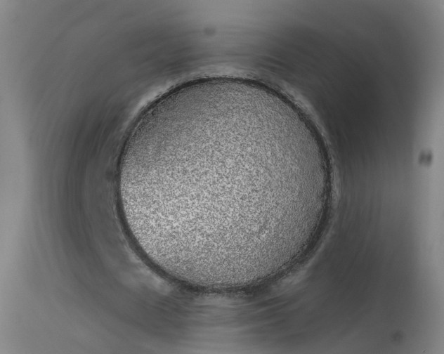 X0000114130625200910151546