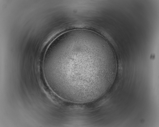 X0000114130626200910151546