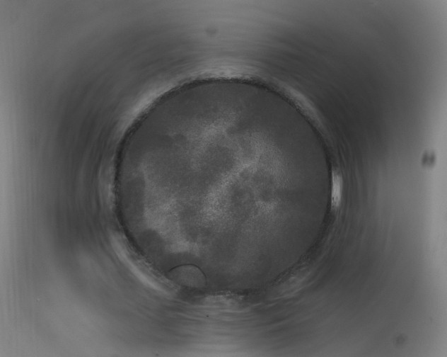 X0000114130627200910151546