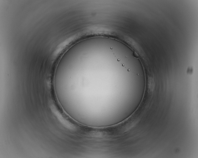 X0000114130629200910151546