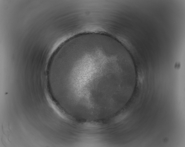 X0000114130630200910151546