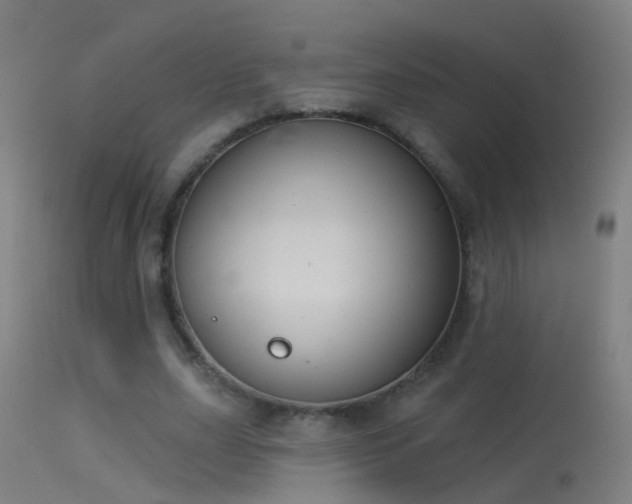 X0000114130631200910151546