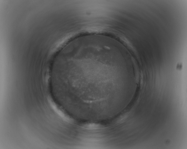 X0000114130637200910151546