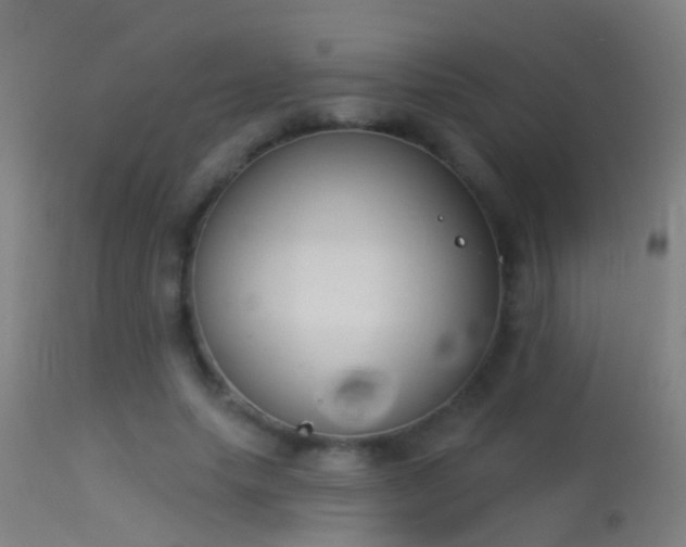 X0000114130639200910151546