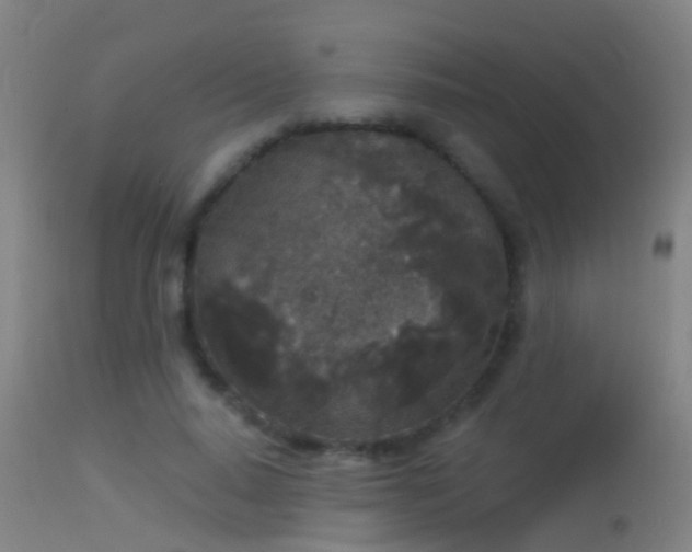 X0000114130640200910151546