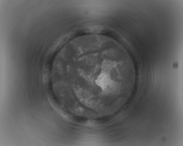 X0000114130641200910151546