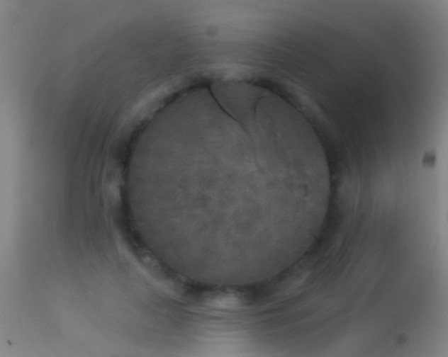 X0000114130643200910151546