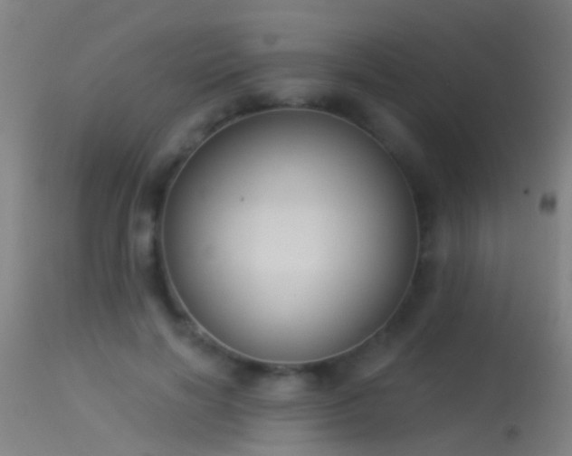 X0000114130646200910151546