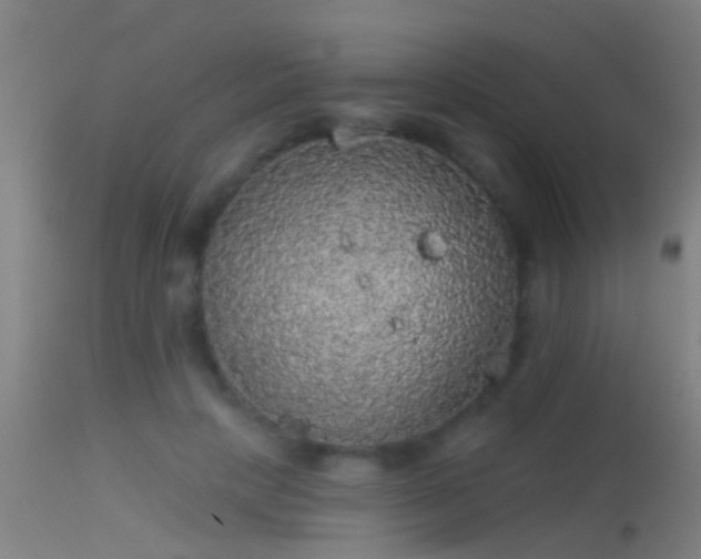 X0000114130649200910151546